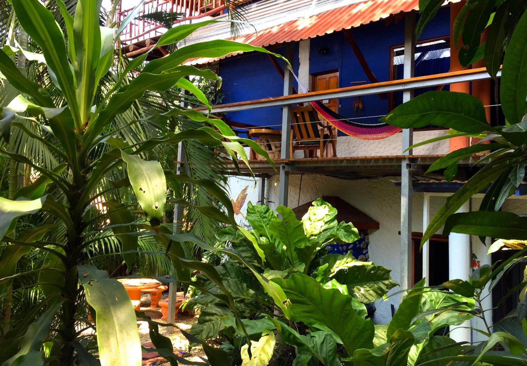 Tico Adventure Lodge Sámara Zimmer foto